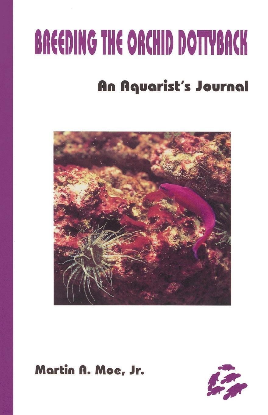Thumbnail - Breeding The Orchid Dottyback, Pseudochromis Fridmani An Aquarist's