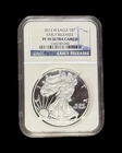 2013-W One Ounce American PROOF Silver Eagle * NGC PF70 DCAM Early Release