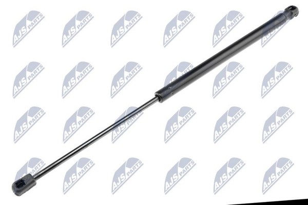 NTY Gasfeder, Koffer-/Laderaum AE-CT-032 FüR CitroËN-image