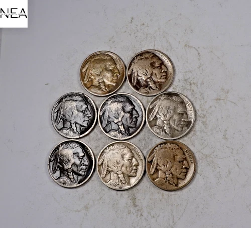 (8) 1913-1919 (date run) Buffalo Nickel Set/Lot ~ Good-VF~ 8 Coins ~ ZBL38