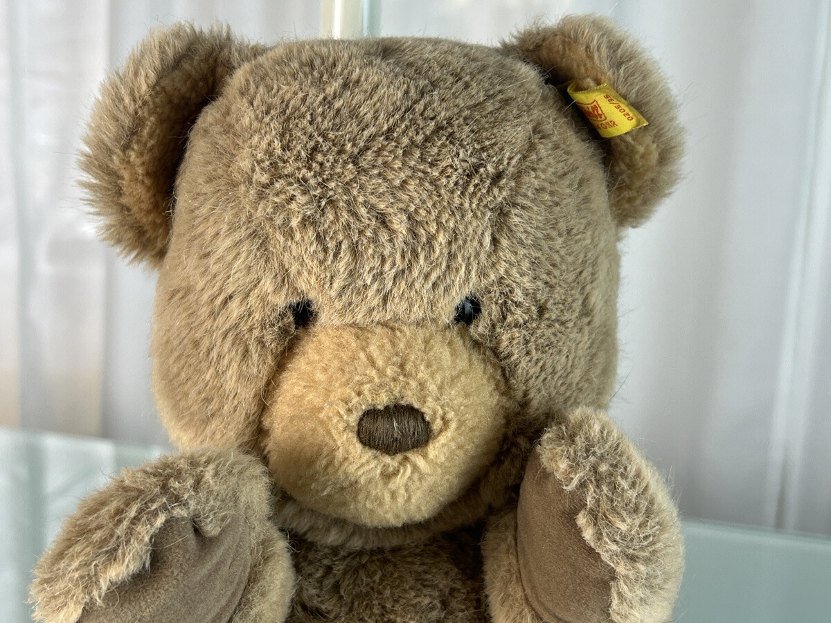 太*陽様 Girls Don't Cry × Steiff Teddy Bear s-l400.jpg