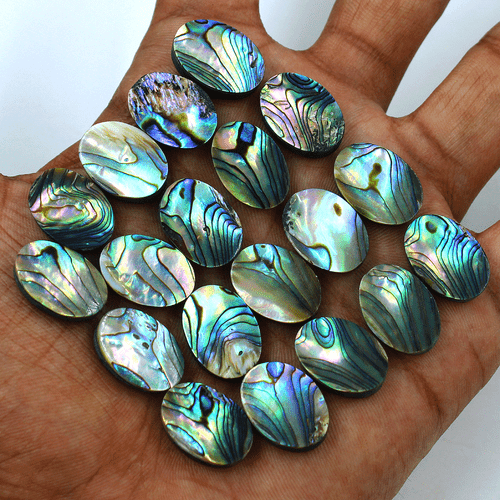 Lote de 19 piedras preciosas calibradas cabujón ovalado de grado superior de abulón natural de 18 mm x 13 mm - Imagen 4 de 15