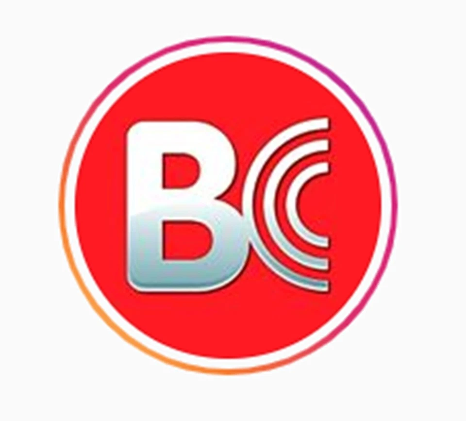 Brian Crower BC3220 BC3221 Intake + Exhaust Valves for Nissan VQ35 350Z 3.5L STD - Imagem 2 de 3