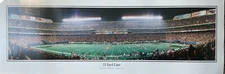 Rob Arra - Meadowlands 22 Yard Line Panoramic Large Stadium Print 