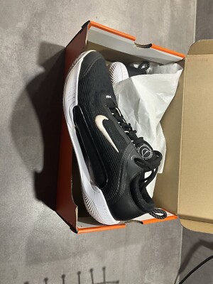 Nike Zoom Court NXT Allcourtschuh Herren - Schwarz, Weiß 