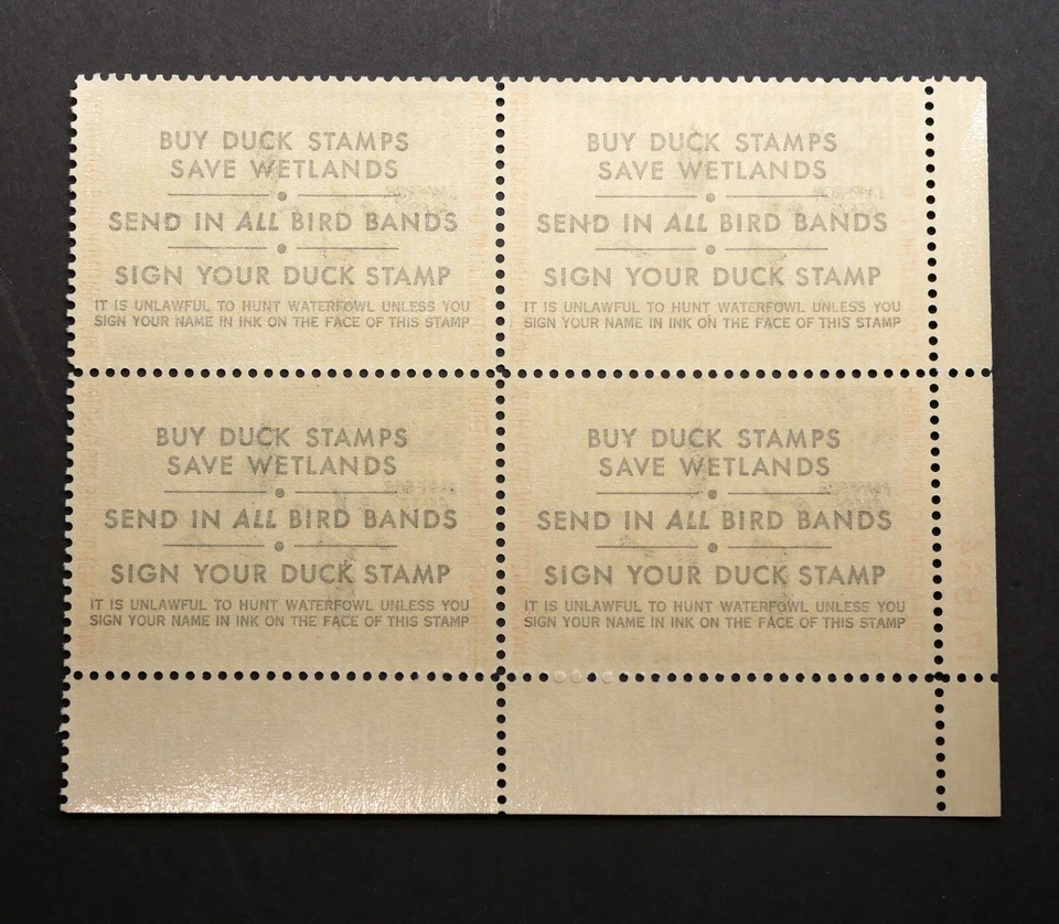 RW39 Federal Duck Hunting Stamps Block of FOUR (4), MNH, OG, 1972 w/Plate Block# - Image 2 of 2