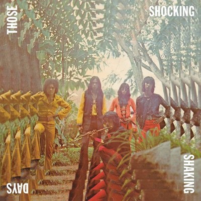 VARIOUS ARTISTS THOSE SHOCKING SHAKING DAYS LP New