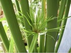 Foto 8 di 8