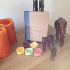 Partylite 12 Teelichter *Lavendel + Patchouli* NEU OVP