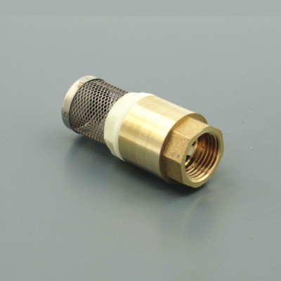 2 Pics Brass Check Valve with Strainer Filter 1/2'' BSP Female Thread