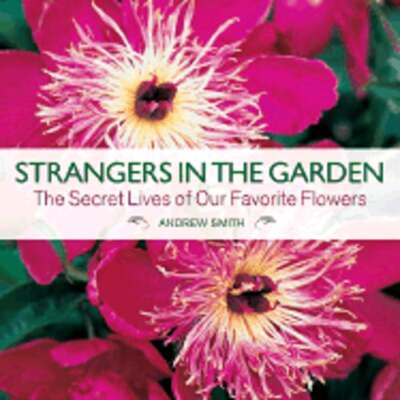 Strangers in the Garden: The Secret Lives of Our Favorite Flowers by Smith: New