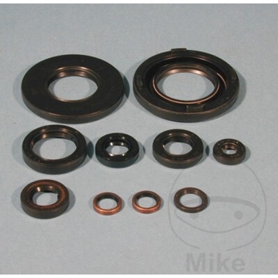 Tourmax Motoröldichtsatz OSL-210 für Yamaha XT 500 1U6 76-79