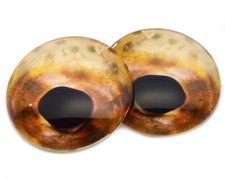 Pair Tan Strapweed Filefish Glass Eyes Jewelry Doll Taxidermy Flatback Cabochons