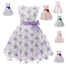2023 Embroidered Lace Dress Princess Dress Girls' Birthday Party Dress