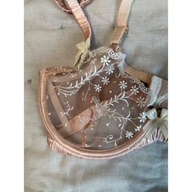 Agent Provocateur Ambrose Underwire Silk Sheer Bra 36D Pink Luxury Sexy Intimate