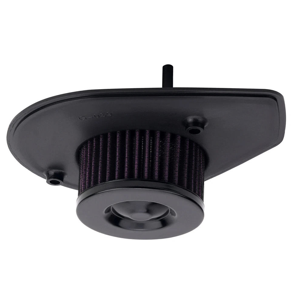 Air Filter Intake Cleaner for Harley Street 500 750 XG500 XG750 2015-2020 2016 Foto 4 de 4