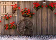 Valentine 5'x7' Computer/ Digital Scenic Vinyl Photo Background Backdrop BHS099