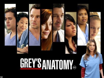 Grey's Anatomy Season 1-19 102 DVD | eBay