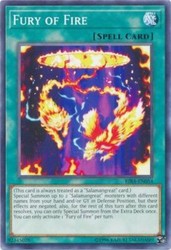 Fury of Fire RIRA-EN054 Rising Rampage Common Unlimited