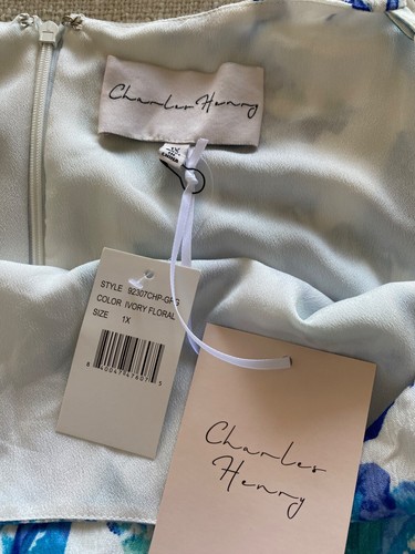 Charles Henry Nordstrom 1X Maxi Flowy Hi Low Dress Ivory with Blue Floral - Picture 5 of 8