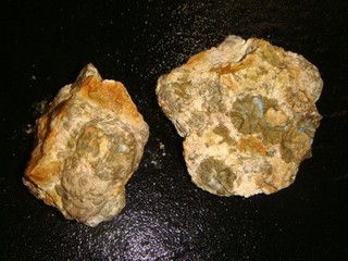 2 RICHARDSON RANCH OPAL BED THUNDER EGG CLUSTERS 1 1/2 POUNDS MADRAS OREGON
