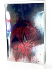 Amazing Spider-Man #1 Foil Cover 2025 SDCC Peach Momoko KRS Comic Mint Exclusive