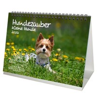 Hundezauber Kleine Hunde Din A5 Tischkalender FüR 2026 Welpen Und Kleine Hunde -