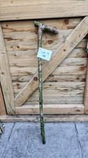 Twisted Twisty Wood Hazel Walking Stick Blank Shank Cane Yew Wood