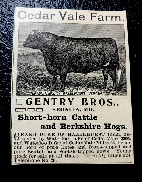 1900 Cedar Vale Farm Cattle Advertising Sedalia Missouri Cow eBay