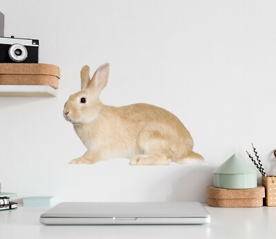 3D Süßer Hase H788 Tier Wallpaper Wandbild Poster Wandaufkleber Abziehbild Hone