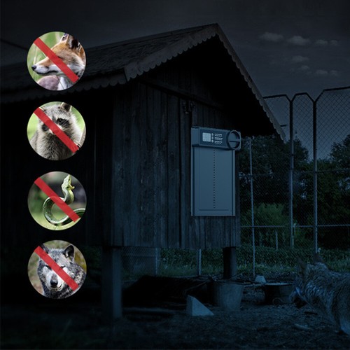 Alu Hühnerklappe Elektrisch Hühnertür Hühnerstalltür Automatische mit/ohne Solar - Bild 17 von 57