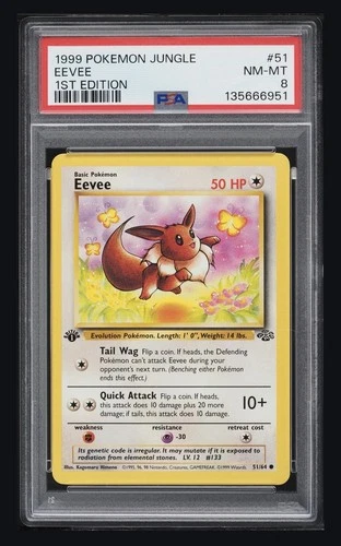 Pokémon TCG Eevee Card 1st Edition Jungle Regular Common, PSA 8