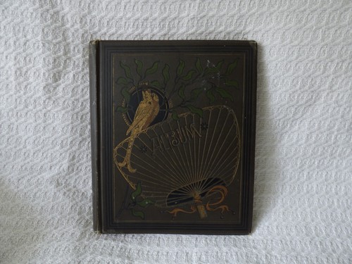 Antikes viktorianisches Albumin Fotoalbum - 55 Bilder England & Wales