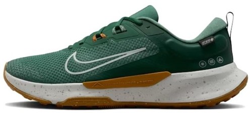 Nike Pegasus Trail 5 GORE-TEX Fir Desert Ochre FQ0908-301  display picture 3