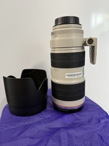 Canon 70-200mm f/2.8 L IS ii USM