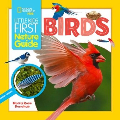 Moira Rose Donohue Little Kids First Nature Guide Birds (Gebundene Ausgabe)