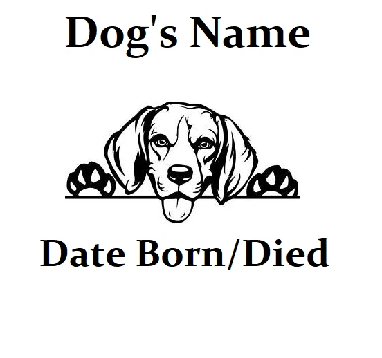 Are Dogs Allowed At White Memorial