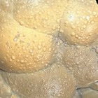 Foto 5 di 8