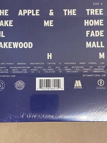 Vince Staples Self Titled S/T LP Blue Vinyl VG+ *Seam Split* ✅ Factory Sealed - Picture 4 of 8
