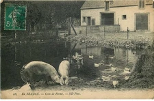 EN BEAUCE   coin de ferme