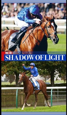 Horse racing photo, stallions,thoroughbreds ascot, breeders cup,farms, cup