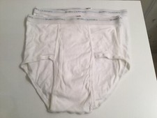 Vtg Hanes Classic 80s 2 Pr. Nos Mens Brief Underwear Sz 36 Made In USA