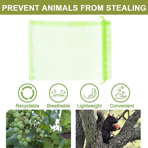 5 Sizes Fruit Fly Net Insect Mesh Vegetable Garden Plant Crop Protection Bags AU - Picture 18 of 19