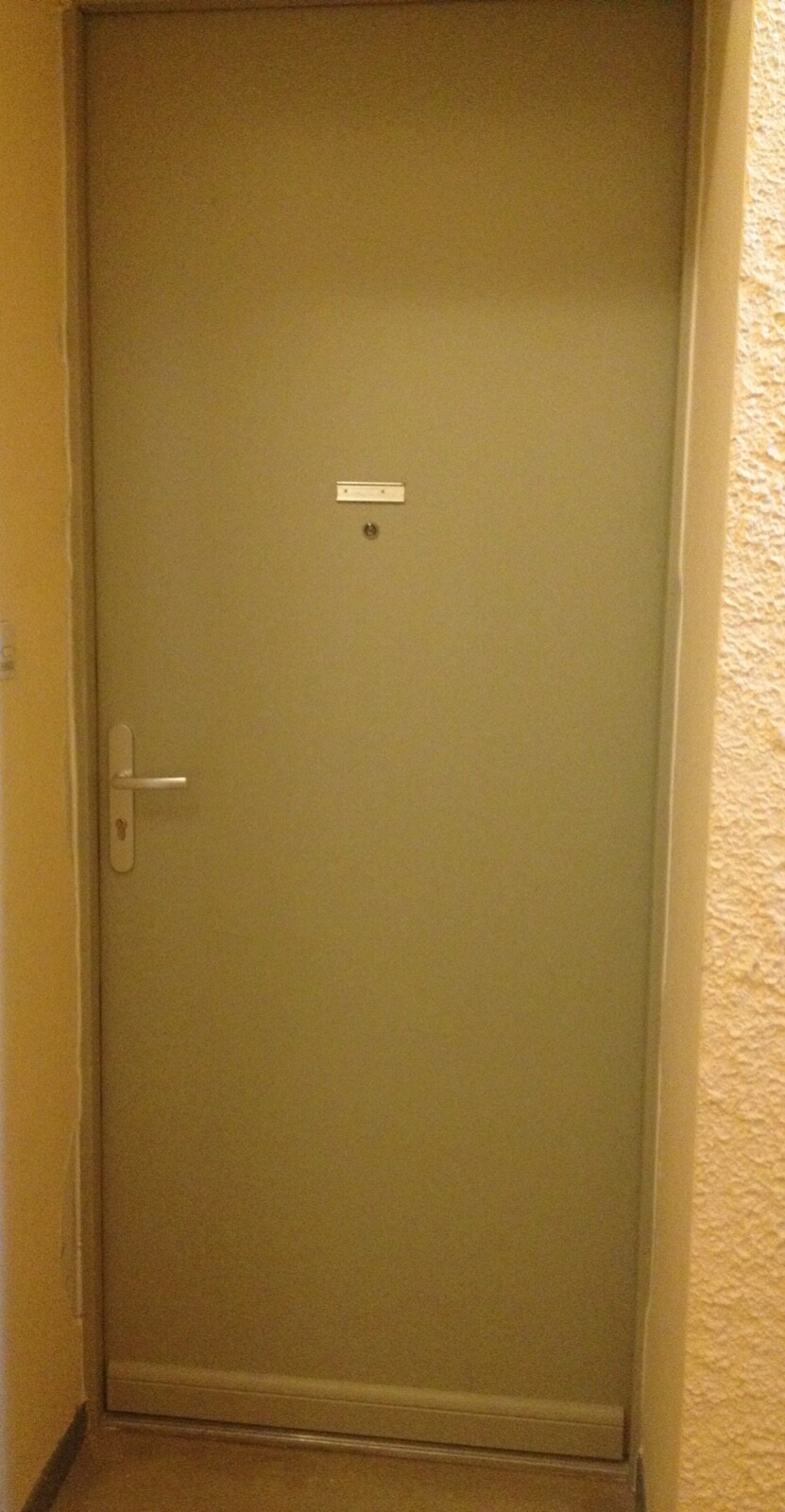Porte de sécurité haut de gamme noire en acier carbone pour grand escalier