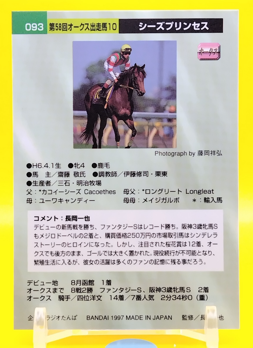 馬　トレーディングカード 🏇 EPOCH ホースレーシング トレーディングカード～ 2024上半期総集編