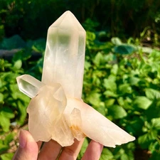 451G A+++Natural white Crystal Himalayan quartz cluster /mineralsls