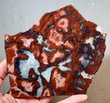Unknown Agate Rough Slab!