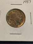 1937 buffalo nickel BU