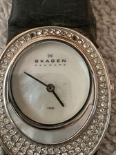 #455-SKAGEN WATCH #655SSLBW