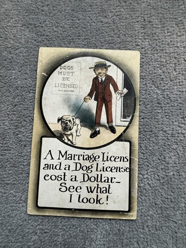2 1908 comic humor Postcard Dog - Picture 4 of 5